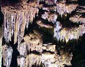 Caves of Nerja - Cueva Nerja 313